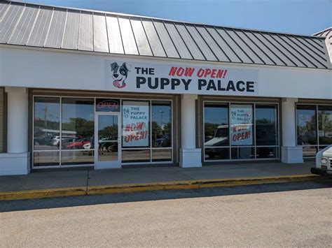 The Puppy Palace Franchise FDD, Profits & Costs (2025) - SHARPSHEETS