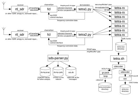 Image result for Decoding Tetra