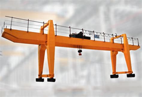 Goliath Crane / Gantry Cranes Manufacturer from Ahmedabad