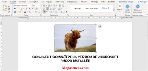 Comment Coder Un Fichier Word 的图像结果