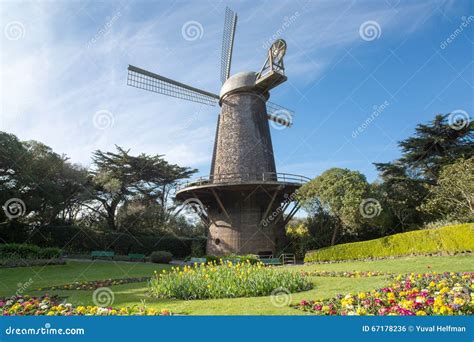 Queen Wilhelmina Tulip Garden San Francisco Stock Photos - Free ...