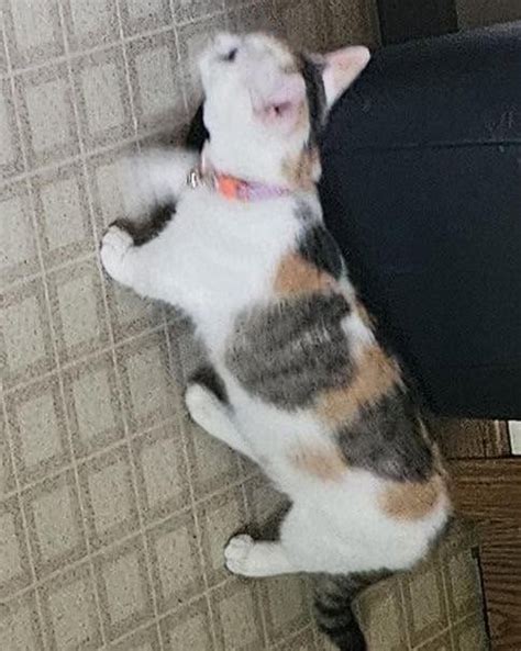 Walworth County Scanner (@walworthcountyscanner) • Instagram photos and ...