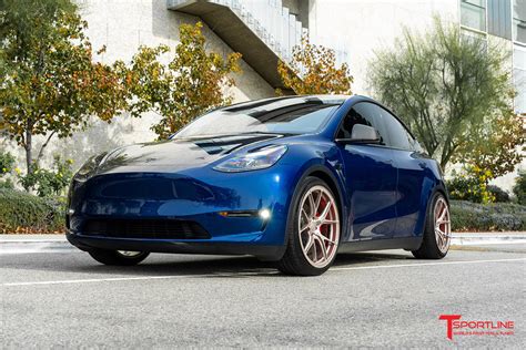 Image result for Custom Tesla Model Y