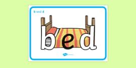 b and d Display Poster