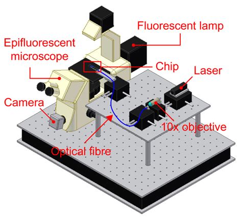 Femtosecond Laser Microfabrication of an Integrated Device for Optical ...