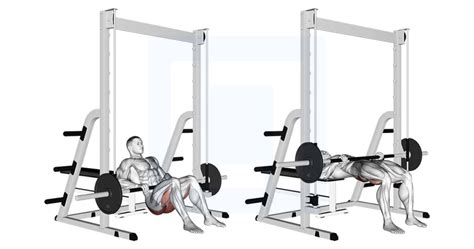 Image result for Smith Machine Hip Thrust