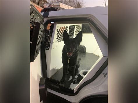 New K9 Officer Catches First 'Bad Guy' In Vernon Hills | Libertyville ...