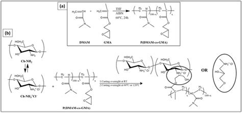 Investigation of Cross-Linked Chitosan-Based Membranes as Potential ...