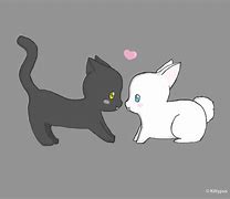 Image result for Cats and Bunnies Hugging