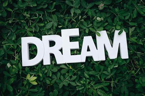 预言梦的心理学解释，为什么会有预言梦？ - 知乎