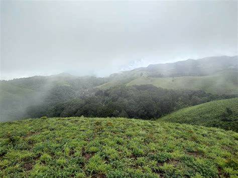 The Best Season For Coorg: When To Plan Your Trip