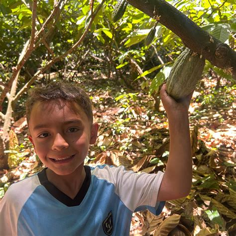 VIVE CACAO - All You Need to Know BEFORE You Go 2026 (with Photos ...