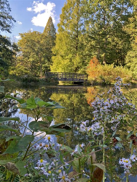 Thankful Lights - Floating Luminaries - Leonard J. Buck Garden | Visit ...