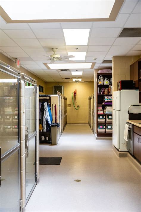 Boarding Tour | Powers Ferry Animal Hospital