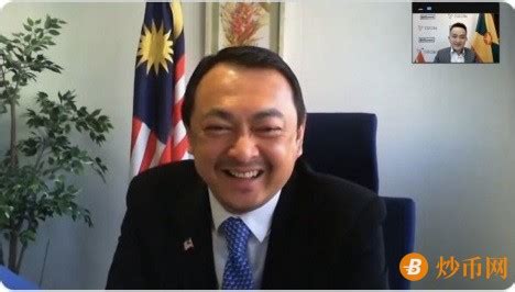 格林纳达常驻WTO大使孙宇晨视频会见马来西亚驻WTO大使-炒币网