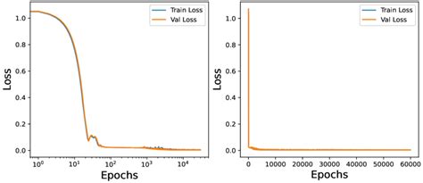 Image result for Exponential Regularization