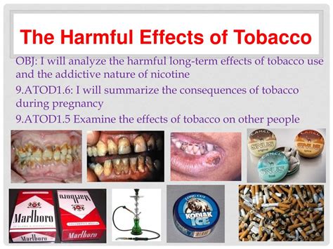 PPT - The Harmful Effects of Tobacco PowerPoint Presentation, free download - ID:1138833