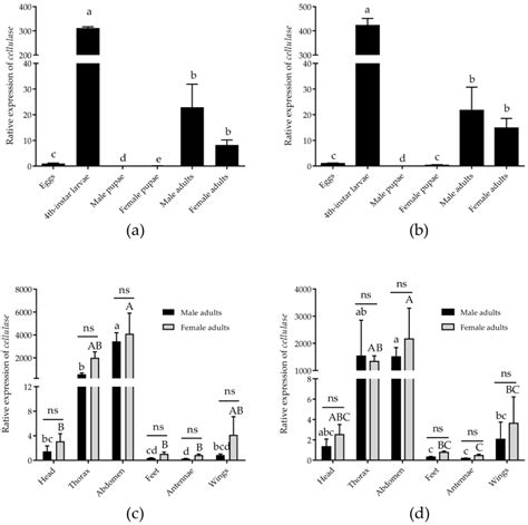 Evaluation of Reference Genes in Glenea cantor (Fabricius) by Using qRT-PCR