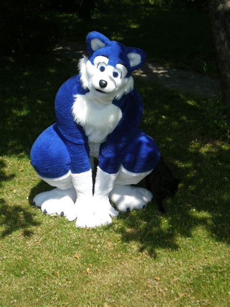 Blue Fox Fursuits