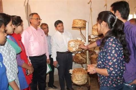 Faculty of Veterinary Science and Animal Husbandry, Birsa Agricultural ...