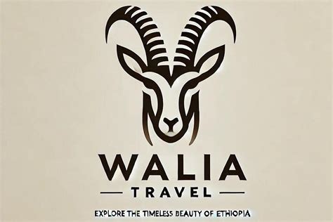 WALIA TRAVEL (2026) All You Need to Know BEFORE You Go (with Photos ...