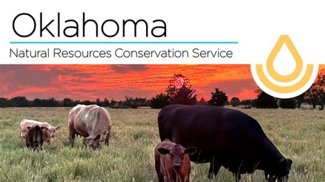 December 2023 USDA Newsletter