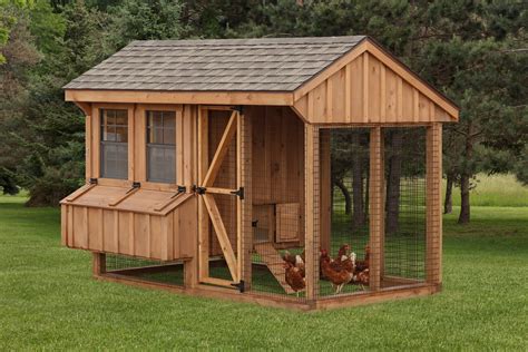 How Big Chicken Coop For 6 Chickens | Detroit Chinatown