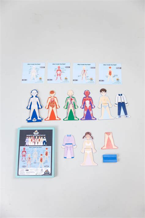 MAGNETIC HUMAN BODY PLAY SET – Casamodernain