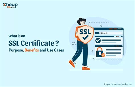 Image result for SSL Certificate Sample
