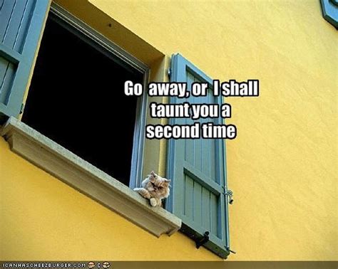 Image result for Monty Python Taunt