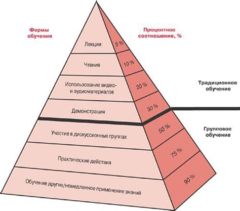 Формы и методы обучения взрослых людей | HR-MEDIA.RU