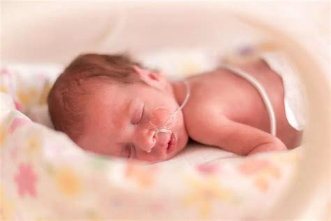 Understanding Moderate Preterm Birth and What to Expect for Your Baby ...
