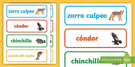 Tarjetas de palabras: Animales de Chile Ilustrados