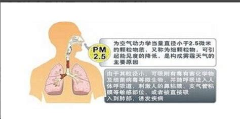 PM2.5污染可造成全身性健康损害并促发过早死亡 – 绿色和平