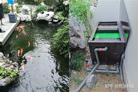 锦鲤鱼池过滤系统山东济南喷泉水池水处理设备水绿解决方案-阿里巴巴