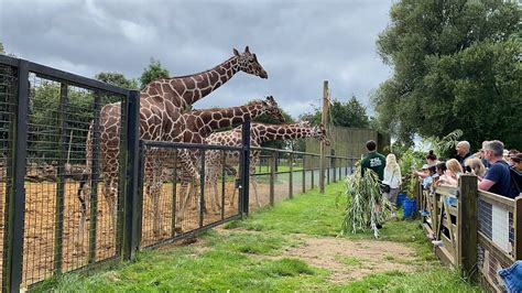 Whipsnade Zoo | Attractions Near Me