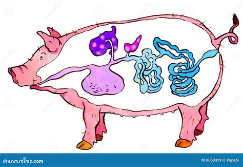 Pig stock illustration. Illustration of system, cartoon - 8850329