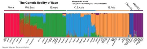 Race 的图像结果