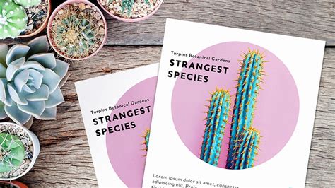 Image result for Adobe Indesign Tutorial