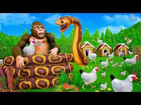 Image result for Gorilla Vs Python Fight