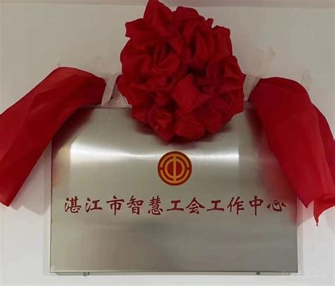 湛江市智慧工会工作中心成立 为工会工作插上“智慧”翅膀-广东省总工会