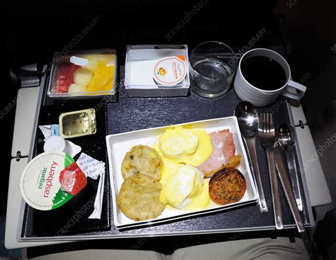 Airline Meal 的图像结果