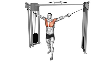 Image result for Contralateral Exercises Cable Machine