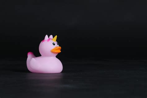 Pink Rubber Duck Toy · Free Stock Photo