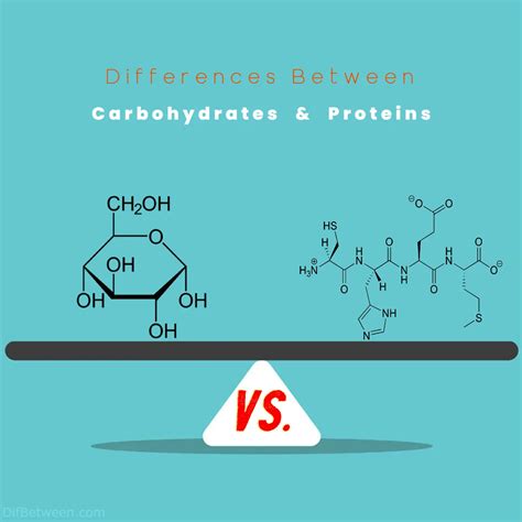 Carbs vs Proteins: Nutritional Contrasts