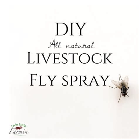 Fly Spray 的图像结果