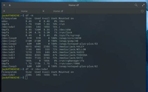 Check Storage in Linux 的图像结果