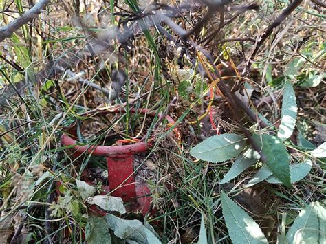 Terrorist attack averted on National Highway between Srinagar-Kupwara ...