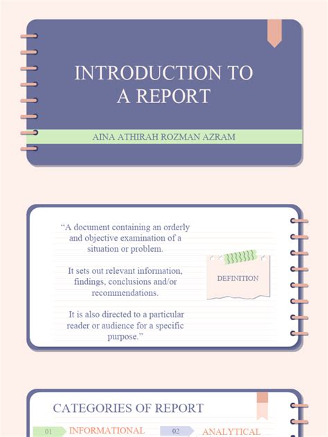 Example Report Introduction 的图像结果