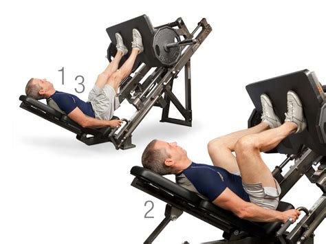 Leg Press Machine Exercise 的图像结果